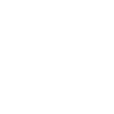 Phone Authentication Icon